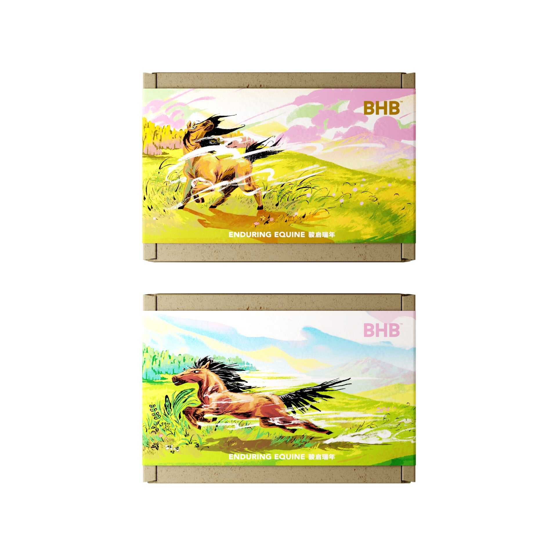 BHB Enduring Equine 骏启瑞年 Gift Kit