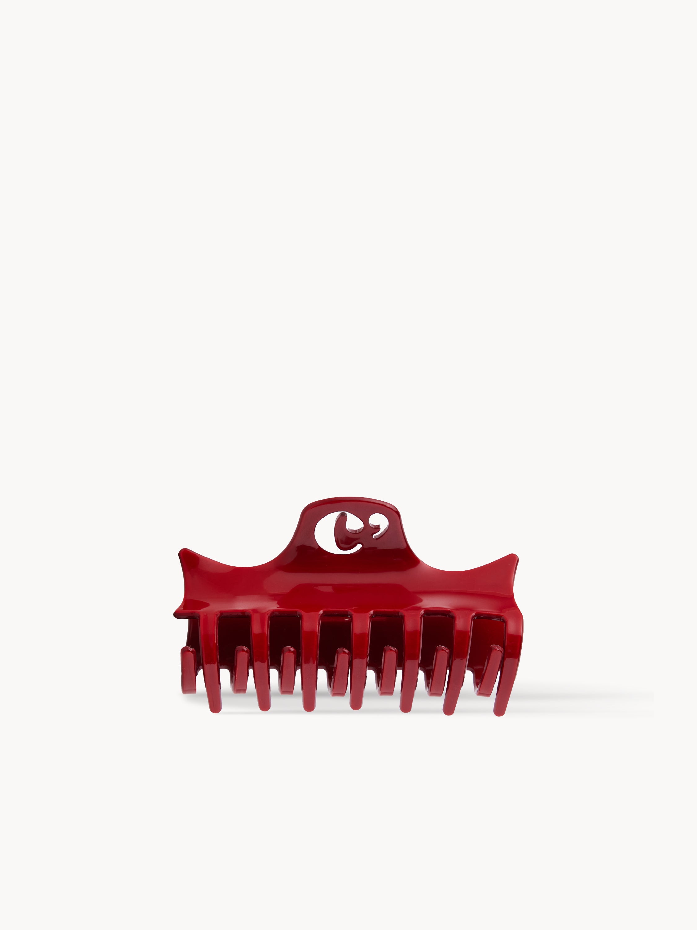 Charmed Claw Clip