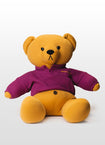 Gingerbread Mountain Teddy Bear (Betty)